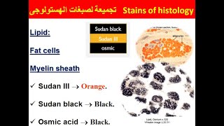 2020 Stains of histology تجميعة لصبغات الهستولوجى [upl. by Teferi]