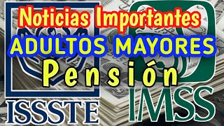 😭IMSS ISSSTE Noticias Importantes sobre Pensiones para Adultos Mayores [upl. by Eimrots]