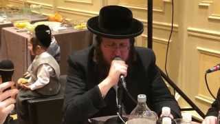 Moshe Laufer singing quotYivodaquot from Skulen [upl. by Sedrul8]