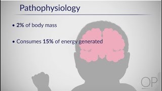 Therapeutic Hypothermia Treatment of Hypoxic Ischemic Encephalopathy Part 2 by D Casey [upl. by Seta]