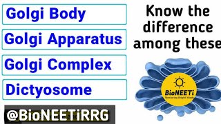 Golgi Body or Apparatus or Complex  Endomembrane System  Cell Unit Of Life [upl. by Atikihc741]