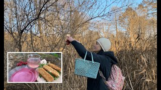 She picks berries after the frost and cooks them in the forest Part 37 VIBURNUM OPULUS ASMR [upl. by Idleman]