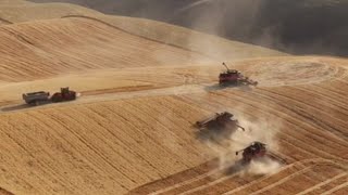 Combine Harvester Fire  Prelude to a fire  Part1 [upl. by Lertsek]