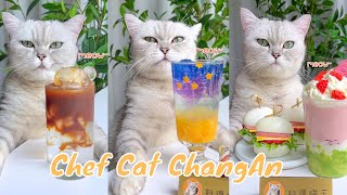 【Chef Cat ChangAn】Surprise in the End  Wonderful Compilation of A Month CatCookingAsmr [upl. by Hathcock]