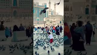 love 90s husain lovelypoetry 1v1 vlog husaain 100 funny 4k 4kstatus 4u 4x4 4🇸🇦🇸🇦🇸🇦🕋🕋 [upl. by Ybrek]