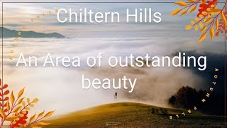 Chiltern Hills  An Area Of Outstanding Beauty  8 Miles Tracking Tour 4k uk buckinghamshire [upl. by Ecertal]