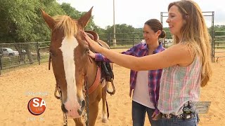 Southern Trails Horseback Riding  SA LIVE  KSAT 12 [upl. by Nelie]