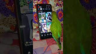 DAILY Mini Vlog with parrot 🦜🦜🦜 [upl. by Charmain]