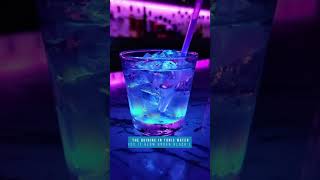 Did you know gin and tonic glows under blacklight [upl. by Nuahsel]