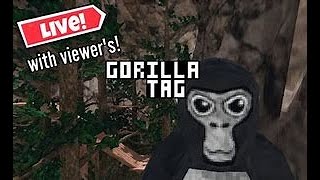 Gorilla Tag Live [upl. by Ysdnyl]