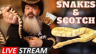 Green Room Pythons QampA LIVESTREAM Snakes amp Scotch [upl. by Abagael390]