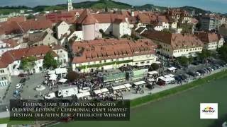 Old Vine Festival in Maribor  Festival of the Oldest Vine in the World [upl. by Rollins]