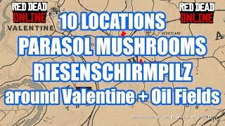 Parasol Mushrooms Riesenschirmpilz Red Dead Redemption 2 Online [upl. by Chicoine]