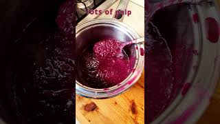 Black Grape Jam Sugar Free cooking recipe food [upl. by Ethbinium]