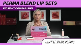 Perma Blend Signature Lip Set BREAKDOWN  Watch Anne Marie Mix amp Blend UNREAL Pigments [upl. by Eisenberg]