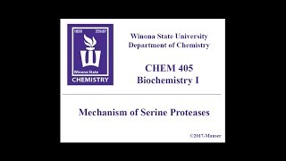 CHEM 405  Serine Protease Mechanism [upl. by Carter534]