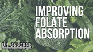 How To Improve Folate Absorption and Other Folate Questions Answered [upl. by Lucille]