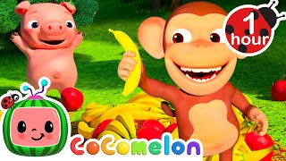 Apples and Bananas  1 Hour CoComelon Animal Time  Healthy Fruit Nursery Rhymes for Kids [upl. by Tillinger997]