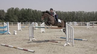 18 Year Old Horse Jumping 130m Urano [upl. by Nie]