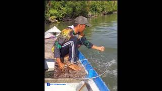 Ikan dan sipemancing saling tarik menarik ditempat ini [upl. by Fee431]