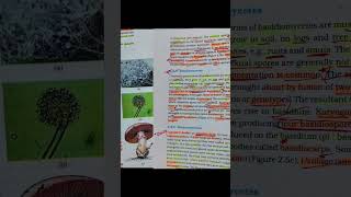 Biology short notes for NEET2025 neet biology important notes shorts viralvideo study [upl. by Aleetha]