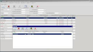 Tutorial KeyBudget  Gestiune Buget Personal [upl. by Waligore681]