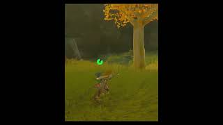 Zelda Tears Of The Kingdom TOTK shorts 34 [upl. by Angele]