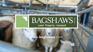 Bagshaws Livestock Sales [upl. by Irvin]