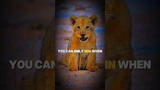 You Can Only Win When Your💀 motivation inspirationalquotes lion motivationalquotes viral [upl. by Ahsenhoj]