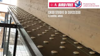 Caso di successo Birdfree Il Centro Arese [upl. by Michelle]