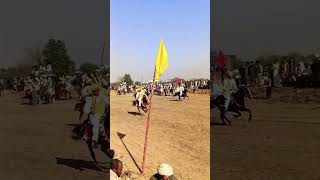 Amazing Tent Pegging club shortvideo [upl. by Hock596]