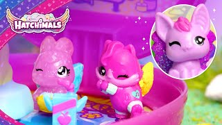 How to Hatch the Hatchimals Playdate Pack  Hatchimals  Toys for Kids [upl. by Eisse968]