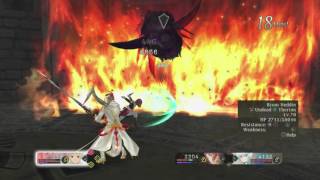 Tales of Zestiria Intense  Boss Bison Heddin Mutant Hellions NIND [upl. by Joashus]