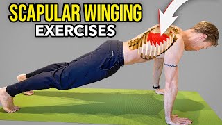 3 Exercises for Scapular Winging Serratus Anterior Muscle Strengthening [upl. by Nonohcle]