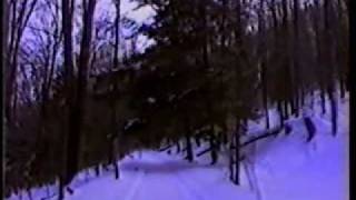 Snowmobiling Potter County Pennsylvania [upl. by Yecam]