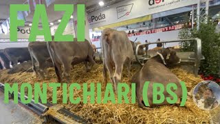 SPECIALE 🐄🐂FAZI🐂🐄 Fiera Agricola Zootecnia Italiana Montichiari BS [upl. by Ia]