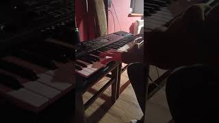 Reality ✨  Lost Frequencies  piano cover muzyka reality lostfrequencies keyboard pianomusic [upl. by Rawdin266]