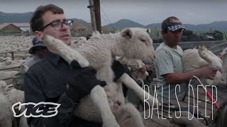 Learning to Ranch amp Castrate Sheep with My Teeth  Balls Deep Season 2 Episode 3 [upl. by Llennhoj]