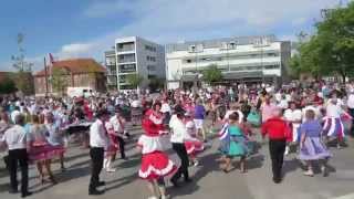 2014 European Square Dance Convention Ikast Denmark [upl. by Kire]