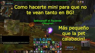 Cómo hacerte chiquito en WoW 335 Wotlk [upl. by Malinda135]