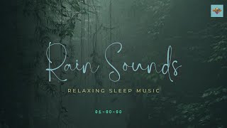 Fast Asleep Tonight with This ONE Simple Rain Sound Trick [upl. by Neenaej]