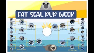 Fat Seal Pup Week On McMurdo Station Antarctica and elsewhere [upl. by Akcimahs102]