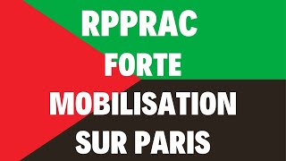 OutreMer  mobilisation des Antillais sur Paris avec le RPPRAC [upl. by Swenson]