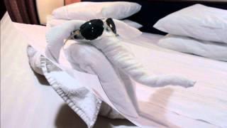 Towel animals Royal Caribbean cruise ship Jewel of the seas [upl. by Portwine]