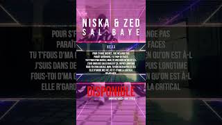 Niska SalBaye Zed tiktok 2023 niska zed En ligne ⬇️⬇️⬇️ [upl. by Adallard328]