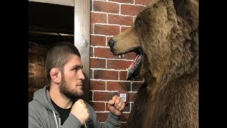 Khabib Nurmagomedov Berlatih Dengan Beruang [upl. by Kcirtap]