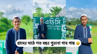 গ্রামের মাঠে শত বছর পুরনো গাব গাছ এন্ড কৃষকদের সেচ পাম্প❤️ [upl. by Saint]