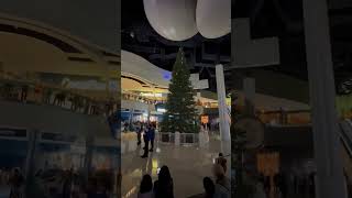 Christmas tree lighting georgiaaquarium [upl. by Faxun]