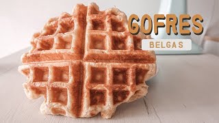 Los auténticos Gofres Belgas  Waffles [upl. by Ellehcor]