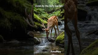 Down by the Sally Garden [upl. by Ocirled]